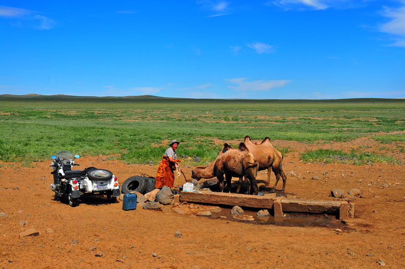Mongolie